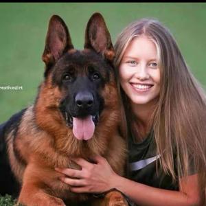 红姐养德牧（聚德犬舍）