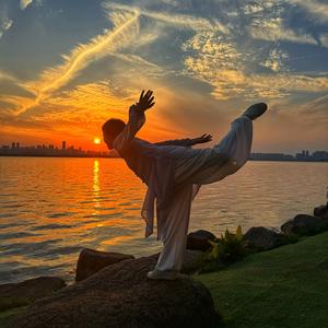 燕子游龙养生功