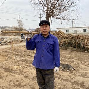 农村大叔记录生活