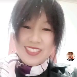 猪宝贝