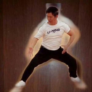 意拳(林建民)