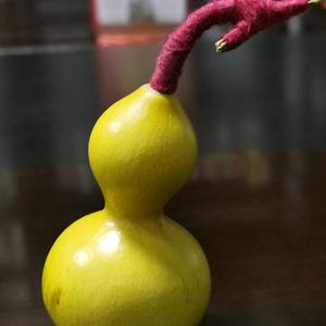小资生活