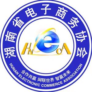 湖南省电子商务协会
