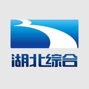 湖北电视综合频道