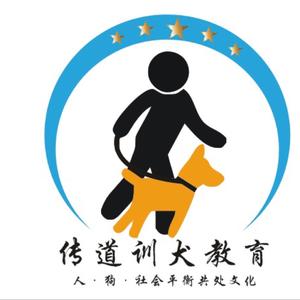 重庆训犬师-琪哥