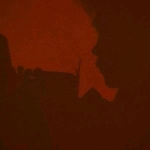 迪士尼跟拍摄影师阿东