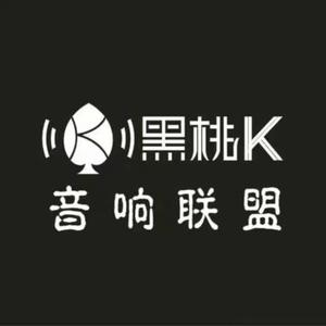 黑桃K汽车音响联盟(天津 北京 重庆）
