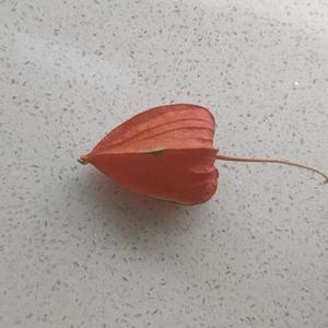 七十小小