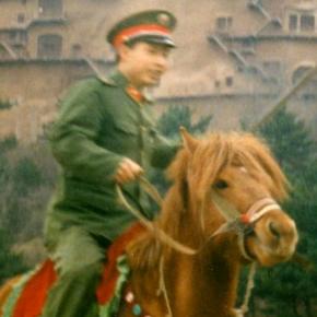 明月照柳（拒私聊）