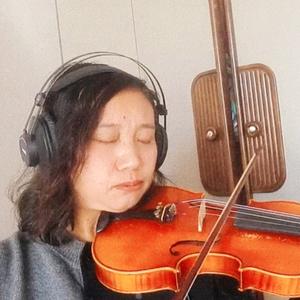 小羊毛（流行小提琴）