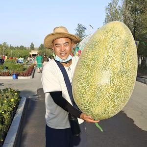 虎子哥【美食达人】