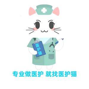 医护猫护理PPT制作