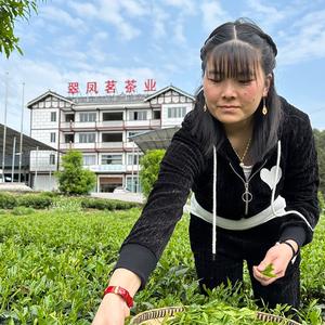 贵州绿茶之家茶业有限公司