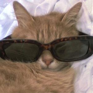 狂人（燕云十六声）