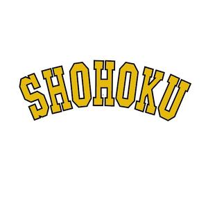 SHOHOKU运动旗舰店