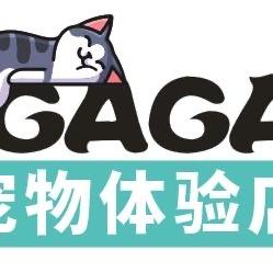 GAGA宠物体验店
