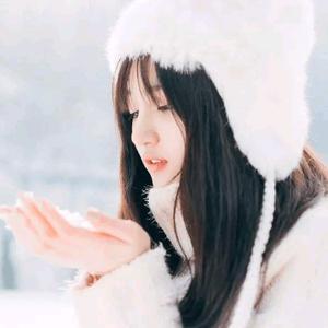 原装打印复印耗材（希普曼公司）