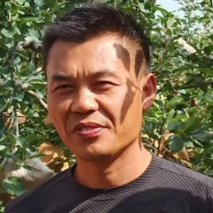 全中唐老师果园管理