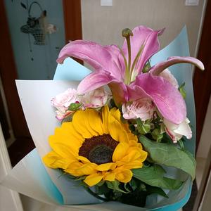 追逐繁星的孩子