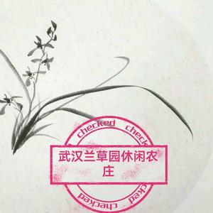 武汉兰草园练竿塘