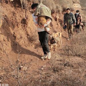 小浪浪（西北刀客直播切片）