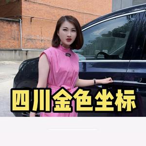 四川金色坐标 激光切割 不锈钢加工 钣金