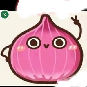 洋葱头优选供应链