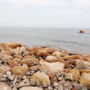 你跑的每一步都算数