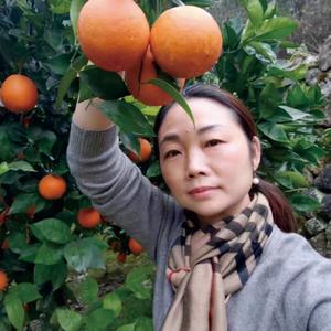 三峡欧姐土特产