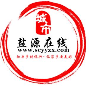 盐源在线网