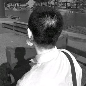 蝴蝶某某音乐志