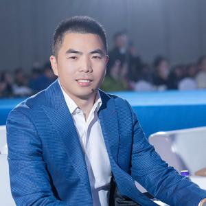 苏引华