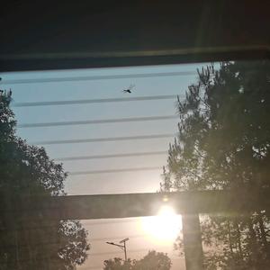 克里斯1jiuqvzljxlllaiba