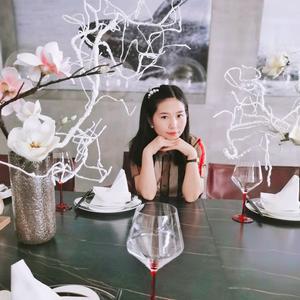 成都耐碱网格布 墨轩盛世