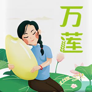 万莲飞翔大米专卖店