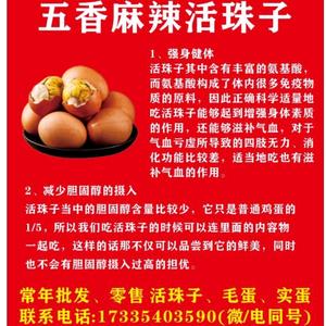 批发毛蛋，活珠子