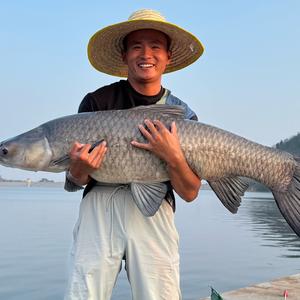 小伟哥渔乐江湖