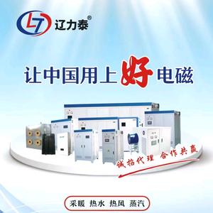 沈阳辽力泰电锅炉厂家