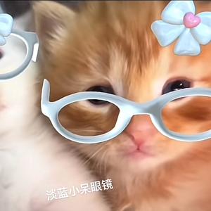 散华礼弥（高三月更