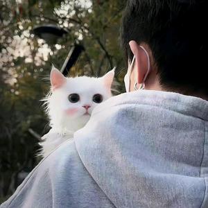 小吴