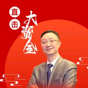 徐世荣谈大资金