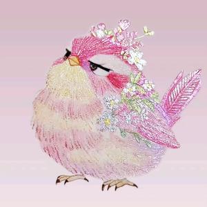 被财神爷宠着的小佳佳