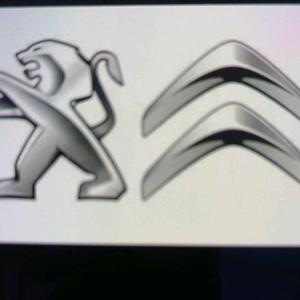 深圳法系专修 东风标致 雪铁龙 DS