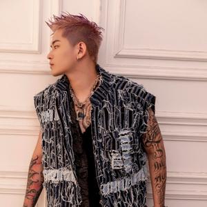 Animals·造声工坊（DJMC培训）