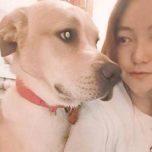 昆明抖转铺管理有限责任公司