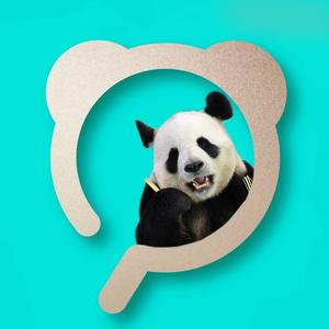 熊猫指南PandaGuide