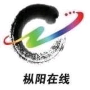 枞阳在线