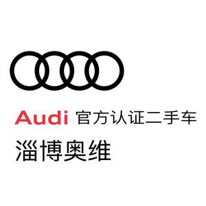 淄博奥维奥迪二手车