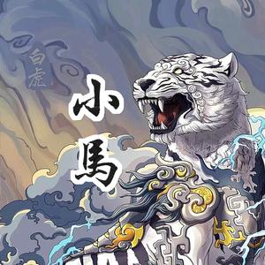 小马解说（高分团战）