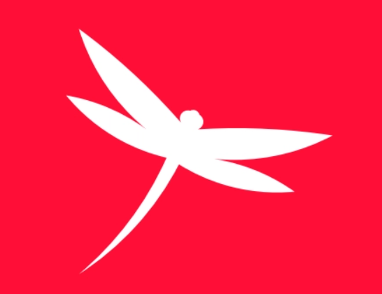 红蜻蜓（RED DRAGONFLY）